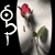510.gif