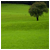 820.gif