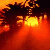 1745.gif
