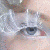 1317.gif