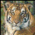 1326.gif