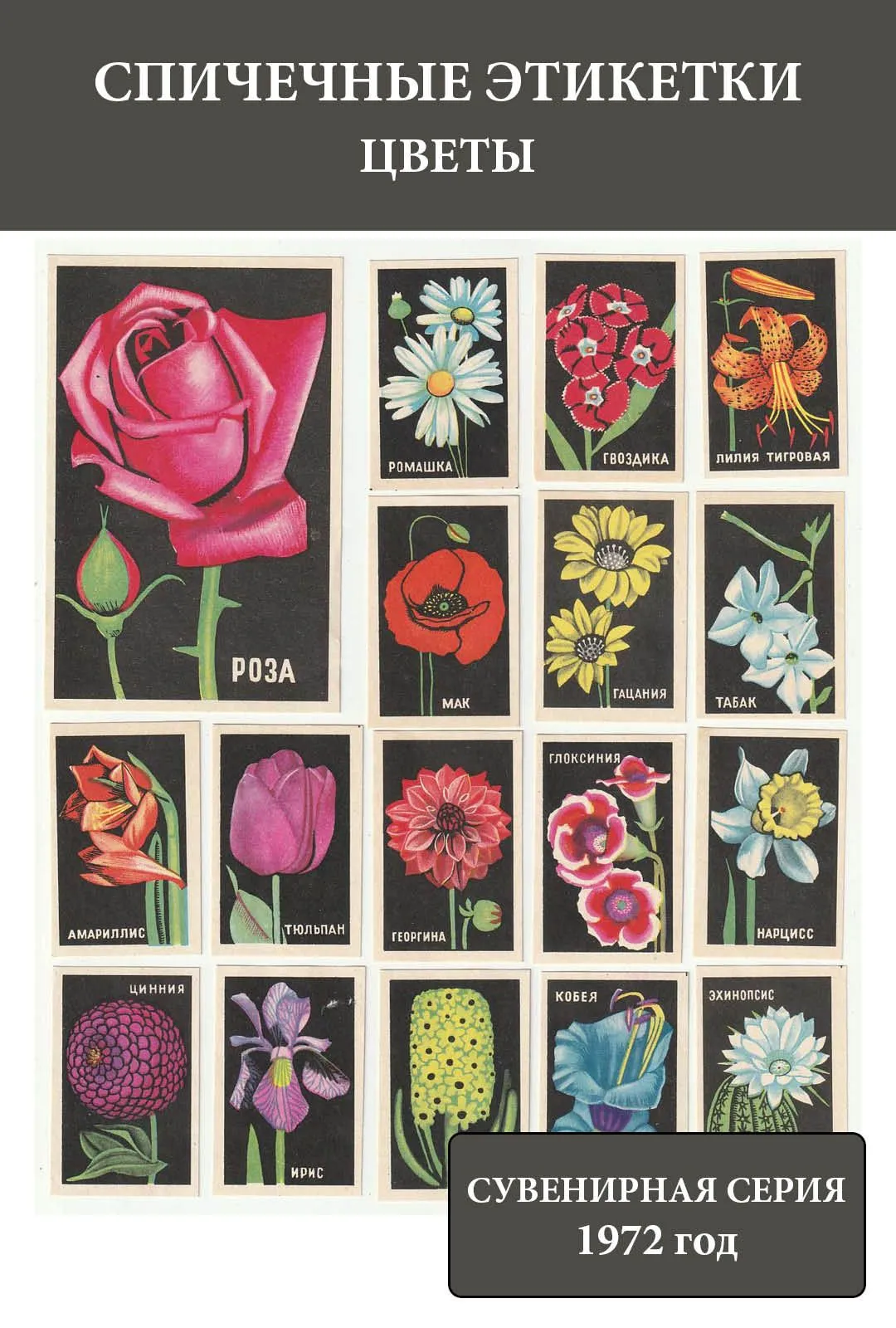 Спичечные этикетки СССР 1972 Цветы (сувенирная серия)