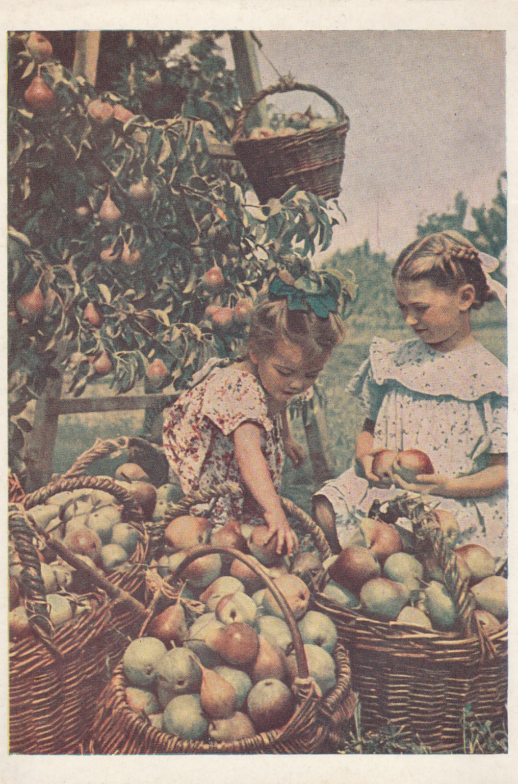 Открытка СССР 1954 - 1957 Дети — изображение 3